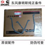 Dongfeng Cummins 6CT8.3 Construction Machinery Engine Parts 3939353 Rear Oil Seal Seat Gasket