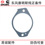 Dongfeng Cummins 6CT8.3 Construction Machinery Engine Parts 3940245 Power Steering Pump Sealing Gasket