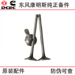 Dongfeng Cummins ISDe ISF3.8 Diesel Engine Accessories Exhaust Valve 3940734 Inlet Valve 3940735