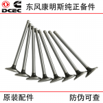 Dongfeng Cummins ISDe ISF3.8 Diesel Engine Accessories Exhaust Valve 3940734 Inlet Valve 3940735