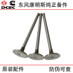 Dongfeng Cummins ISDe ISF3.8 Diesel Engine Accessories Exhaust Valve 3940734 Inlet Valve 3940735
