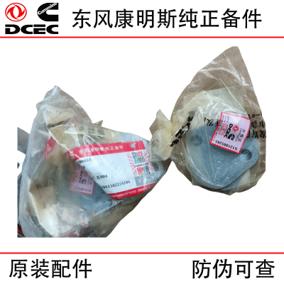 Dongfeng Cummins ISDE engine parts 3948083 fuel pump cover plate