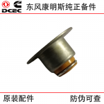 Dongfeng Cummins ISDE Diesel Engine Parts 3955393 Valve Oil Seal
