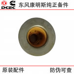 Dongfeng Cummins ISDE Diesel Engine Parts 3955393 Valve Oil Seal