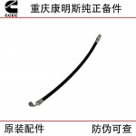 Chongqing Cummins KTA19 KTA38 marine generator set engine accessories 3963454 flexible hose
