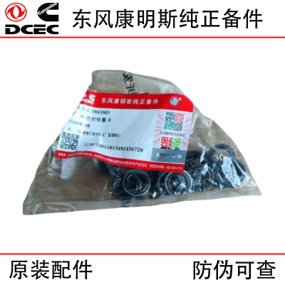 Dongfeng Cummins 6BT 6CT8.3 Construction Machinery Engine Parts 3963983 Sealing Gasket