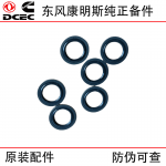 Dongfeng Cummins 6BT 6CT8.3 Construction Machinery Engine Parts 3963983 Sealing Gasket