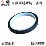 Dongfeng Cummins 6CT 6L diesel engine parts 3968563 3935959 crankshaft rear oil seal