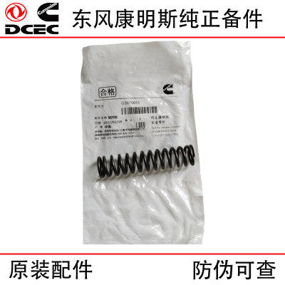 Dongfeng Cummins 6L 6CT8.3 Construction Machinery Engine Parts 3970655 Compression Spring