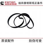 Foton Cummins ISF2.8 Construction Machinery Diesel Engine Parts 3972378 8PK2255 Water Pump Belt