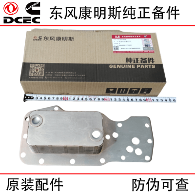 Dongfeng Cummins ISDE QSB6.7 Engineering Machinery Engine Parts 3975818 Oil Cooler Core
