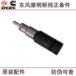 Dongfeng Cummins 6L Construction Machinery Engine Parts 3975929 3975928 Fuel Injector