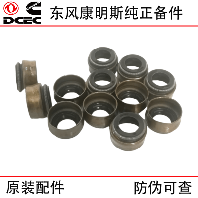 Dongfeng Cummins Dongfeng Tianlong Truck ISZ QSM11 Engineering Machinery Engine Parts 3073509 3328781 4003966 Valve Oil Seal