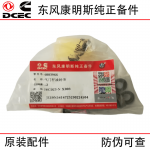 Dongfeng Cummins Dongfeng Tianlong Truck ISZ QSM11 Engineering Machinery Engine Parts 3073509 3328781 4003966 Valve Oil Seal