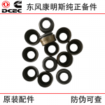Dongfeng Cummins Dongfeng Tianlong Truck ISZ QSM11 Engineering Machinery Engine Parts 3073509 3328781 4003966 Valve Oil Seal