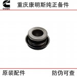 Chongqing Cummins NT855 N14 construction machinery train track generator set engine accessories 4026357 water pump seal