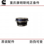 Chongqing Cummins NT855 N14 construction machinery train track generator set engine accessories 4026357 water pump seal