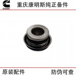 Chongqing Cummins NT855 N14 construction machinery train track generator set engine accessories 4026357 water pump seal