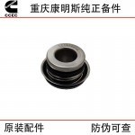 Chongqing Cummins NT855 N14 construction machinery train track generator set engine accessories 4026357 water pump seal