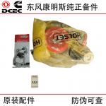 Dongfeng Cummins 6BT5.9 Construction Machinery Generator Set Engine Parts 4051229 4051230 Turbocharger