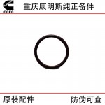 Chongqing Cummins NT855 KTA19 ship generator set engineering machinery engine accessories 3175545 4066112 water pump inlet connection rubber ring