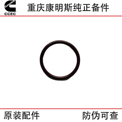 Chongqing Cummins NT855 KTA19 ship generator set engineering machinery engine accessories 3175545 4066112 water pump inlet connection rubber ring