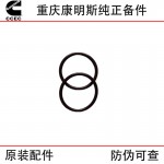 Chongqing Cummins NT855 KTA19 ship generator set engineering machinery engine accessories 3175545 4066112 water pump inlet connection rubber ring