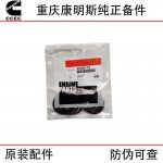 Chongqing Cummins NT855 KTA19 ship generator set engineering machinery engine accessories 3175545 4066112 water pump inlet connection rubber ring
