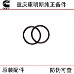 Chongqing Cummins NT855 KTA19 ship generator set engineering machinery engine accessories 3175545 4066112 water pump inlet connection rubber ring