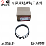 Dongfeng Cummins ISLE QSL Engineering Machinery Diesel Engine Parts Piston Ring 4089644