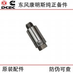 Dongfeng Cummins ISZ13 diesel truck engine parts 4383889 4307385 4383890 pressure relief valve