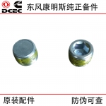 Dongfeng Cummins ISDE Engineering Machinery Diesel Engine Parts 4931643 Plug