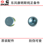 Dongfeng Cummins ISDE Engineering Machinery Diesel Engine Parts 4931643 Plug