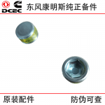 Dongfeng Cummins ISDE Engineering Machinery Diesel Engine Parts 4931643 Plug