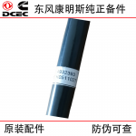 Dongfeng Cummins ISLE Engineering Machinery Engine Parts 4932393 Fuel Transfer Pipe