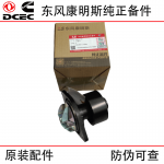Dongfeng Cummins 6BT5.9 generator set engine accessories 4935793 5402949 water pump