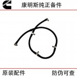 Imported Cummins B3.3 QSB3.3 Engineering Machinery Diesel Engine Parts 4941164 Fuel Pipe