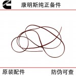 Cummins ISX15 QSX15 construction machinery generator set engine accessories 4962722 4059182 3679913 gear chamber sealing gasket