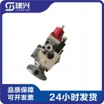 Chongqing Cummins K19-DM Marine Diesel Engine Parts 4999456 3070123 PT High Pressure Fuel Pump