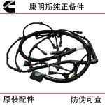 Foton Cummins ISF2.8 engine accessories 5335433 computer module wiring harness engine wiring harness