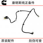 Foton Cummins QSF3.8 Engineering Machinery Engine Parts 5345435 Fuel Return Pipe