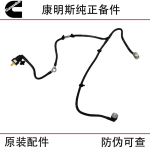 Foton Cummins QSF3.8 Engineering Machinery Engine Parts 5345435 Fuel Return Pipe