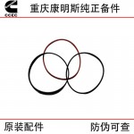 Chongqing Cummins KT19 engineering machinery ship generator set engine parts cylinder liner water ring 5633313 3011076 3014668 3081489 4024779