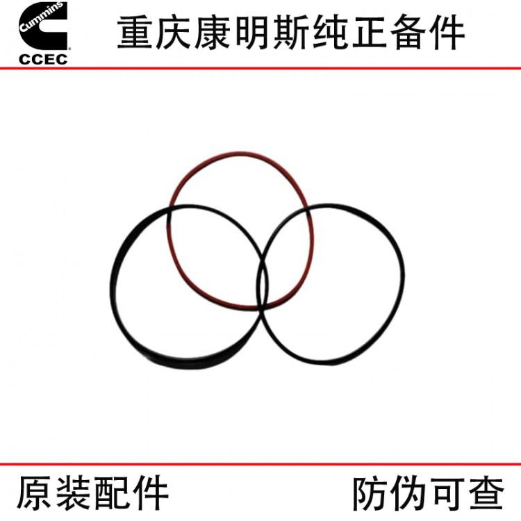 Chongqing Cummins KT19 engineering machinery ship generator set engine parts cylinder liner water ring 5633313 3011076 3014668 3081489 4024779