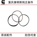 Chongqing Cummins KT19 engineering machinery ship generator set engine parts cylinder liner water ring 5633313 3011076 3014668 3081489 4024779