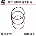 Chongqing Cummins KT19 engineering machinery ship generator set engine parts cylinder liner water ring 5633313 3011076 3014668 3081489 4024779