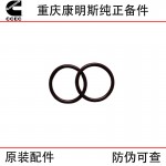 Chongqing Cummins K38 K50 Marine Generator Sets Construction Machinery Engine Sealing Ring 68910