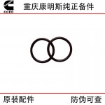 Chongqing Cummins K38 K50 Marine Generator Sets Construction Machinery Engine Sealing Ring 68910
