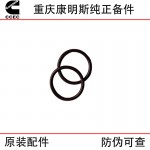 Chongqing Cummins K38 K50 Marine Generator Sets Construction Machinery Engine Sealing Ring 68910