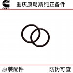 Chongqing Cummins K38 K50 Marine Generator Sets Construction Machinery Engine Sealing Ring 68910